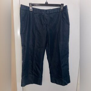 Pantology dress denim cropped pants.